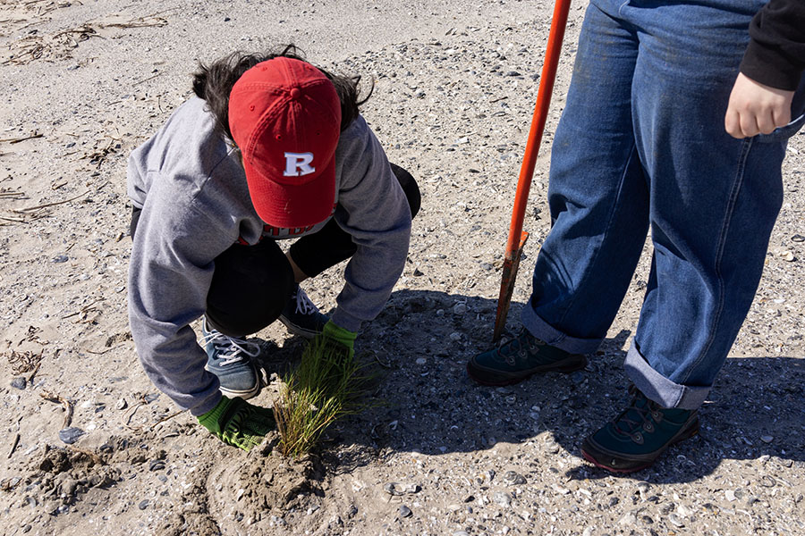 First-year student Roja Vanaparthi plants a grass plug